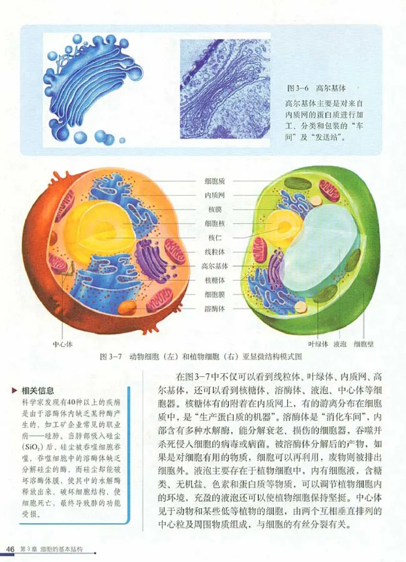 人教版高中生物必修1分子与细胞_电子课本_最新版高中全科高清电子课本_6高中生物课本_人教版