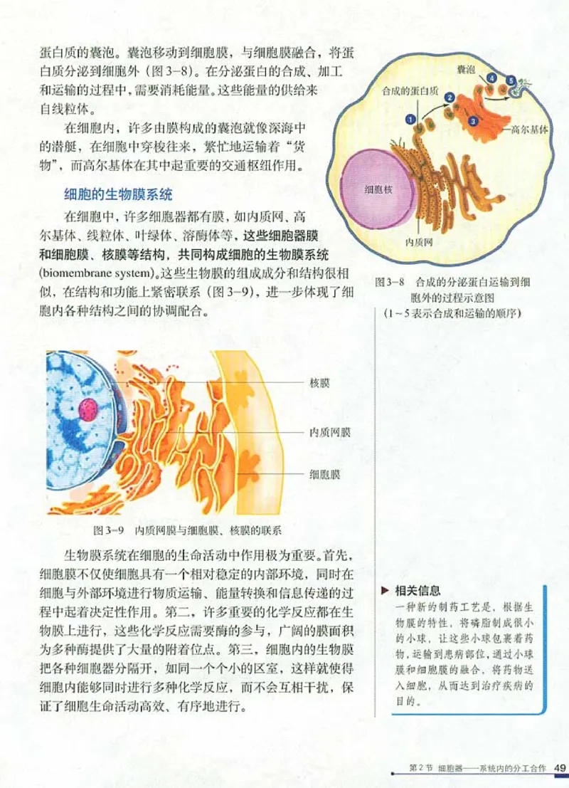 人教版高中生物必修1分子与细胞_电子课本_最新版高中全科高清电子课本_6高中生物课本_人教版