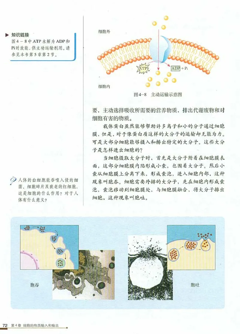 人教版高中生物必修1分子与细胞_电子课本_最新版高中全科高清电子课本_6高中生物课本_人教版