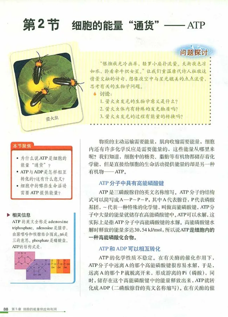 人教版高中生物必修1分子与细胞_电子课本_最新版高中全科高清电子课本_6高中生物课本_人教版