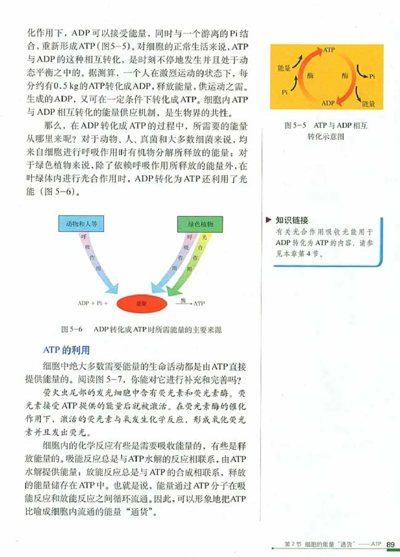 人教版高中生物必修1分子与细胞_电子课本_最新版高中全科高清电子课本_6高中生物课本_人教版