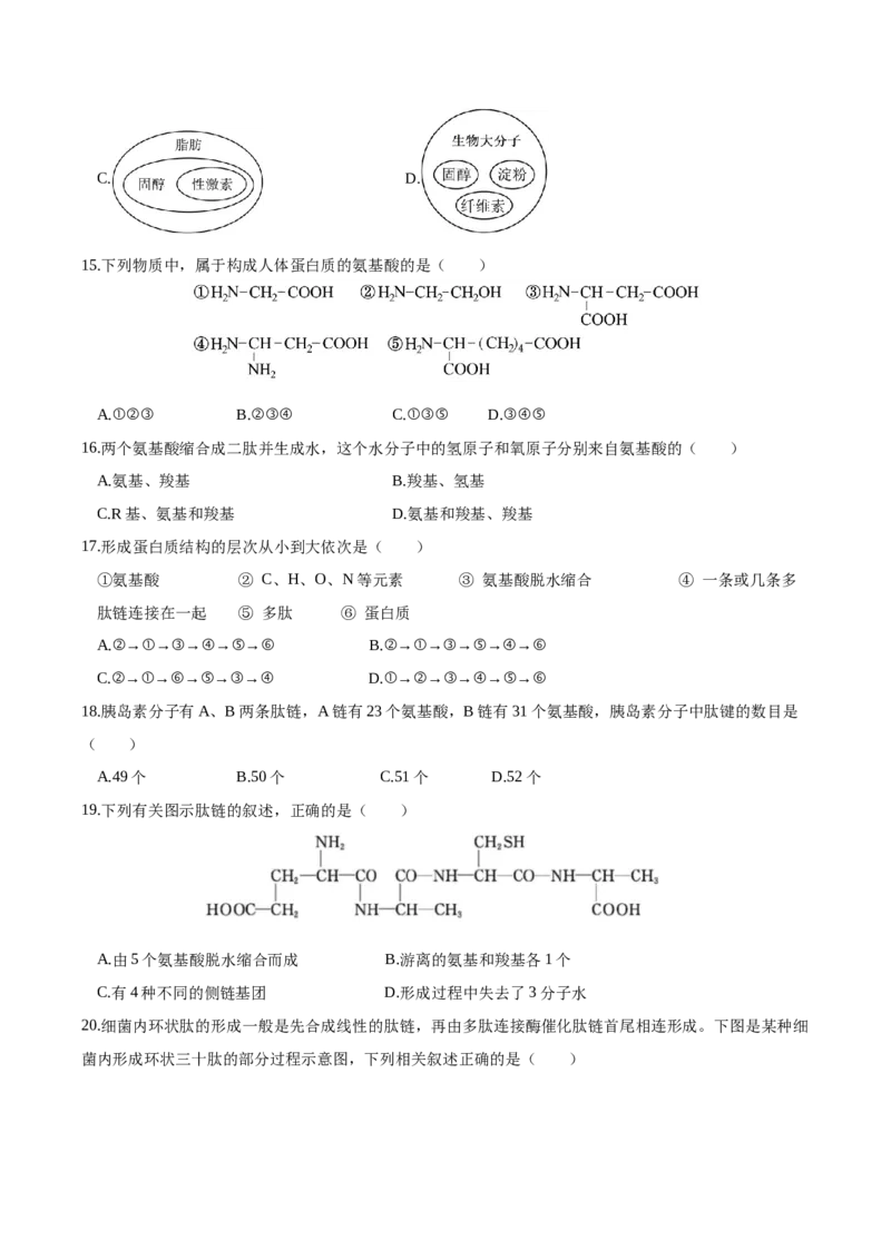 江苏省盐城市五校联考2025-2026学年高一上学期10月第一次联考试题生物Word版含答案_2025年10月高一试卷_251026江苏省盐城市五校联考2025-2026学年高一上学期10月第一次联考试题（全）