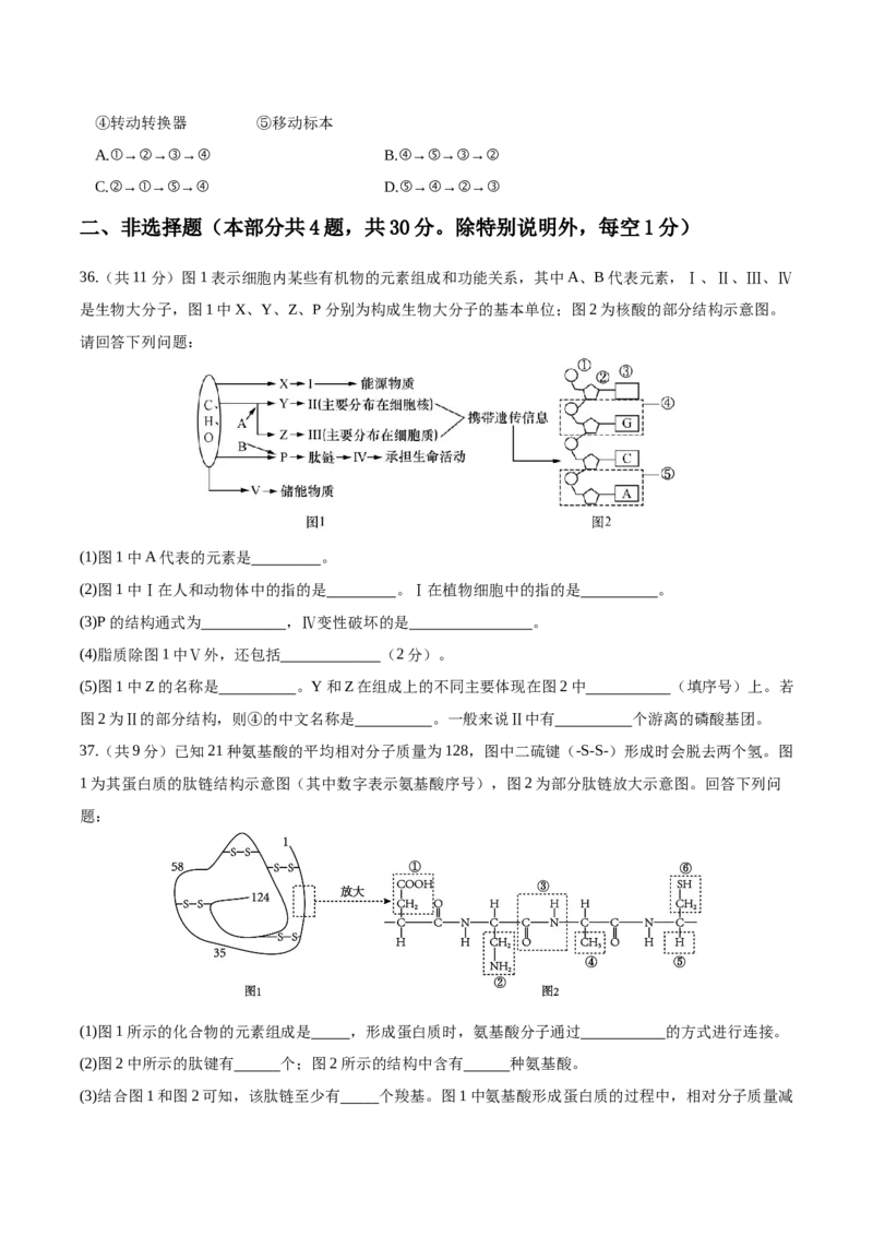江苏省盐城市五校联考2025-2026学年高一上学期10月第一次联考试题生物Word版含答案_2025年10月高一试卷_251026江苏省盐城市五校联考2025-2026学年高一上学期10月第一次联考试题（全）