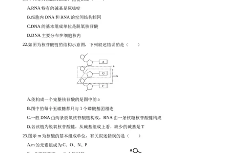 江苏省盐城市五校联考2025-2026学年高一上学期10月第一次联考试题生物Word版含答案_2025年10月高一试卷_251026江苏省盐城市五校联考2025-2026学年高一上学期10月第一次联考试题（全）