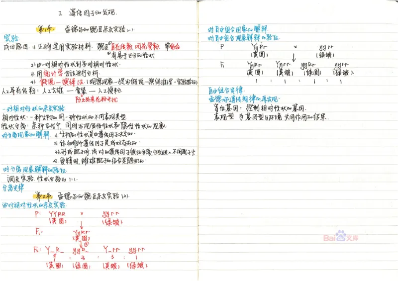 2020高考吉林理科状元（并列）刘梦非生物笔记_看图王_高中三年全科资料_高中_高中知识点整理_生物