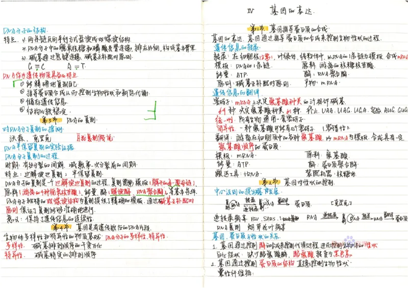 2020高考吉林理科状元（并列）刘梦非生物笔记_看图王_高中三年全科资料_高中_高中知识点整理_生物