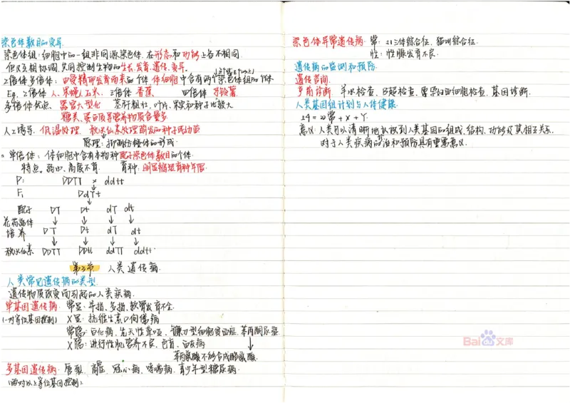 2020高考吉林理科状元（并列）刘梦非生物笔记_看图王_高中三年全科资料_高中_高中知识点整理_生物