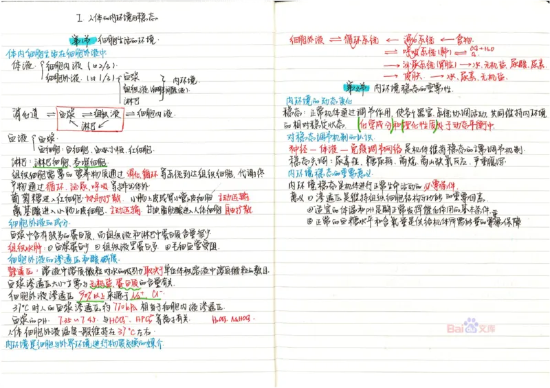 2020高考吉林理科状元（并列）刘梦非生物笔记_看图王_高中三年全科资料_高中_高中知识点整理_生物