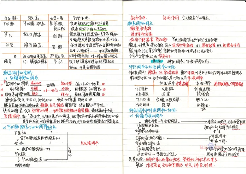 2020高考吉林理科状元（并列）刘梦非生物笔记_看图王_高中三年全科资料_高中_高中知识点整理_生物