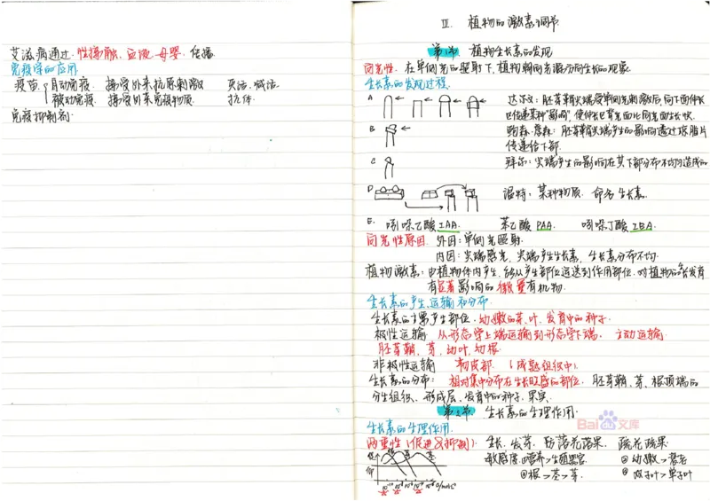 2020高考吉林理科状元（并列）刘梦非生物笔记_看图王_高中三年全科资料_高中_高中知识点整理_生物