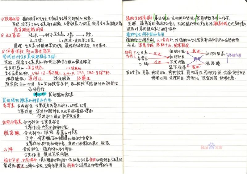 2020高考吉林理科状元（并列）刘梦非生物笔记_看图王_高中三年全科资料_高中_高中知识点整理_生物