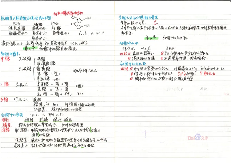 2020高考吉林理科状元（并列）刘梦非生物笔记_看图王_高中三年全科资料_高中_高中知识点整理_生物