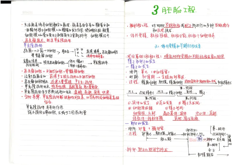 2020高考吉林理科状元（并列）刘梦非生物笔记_看图王_高中三年全科资料_高中_高中知识点整理_生物