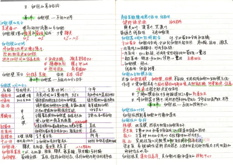 2020高考吉林理科状元（并列）刘梦非生物笔记_看图王_高中三年全科资料_高中_高中知识点整理_生物
