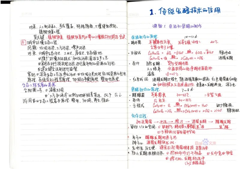 2020高考吉林理科状元（并列）刘梦非生物笔记_看图王_高中三年全科资料_高中_高中知识点整理_生物