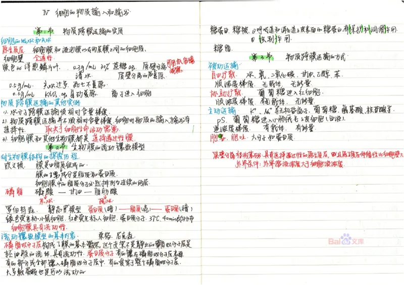2020高考吉林理科状元（并列）刘梦非生物笔记_看图王_高中三年全科资料_高中_高中知识点整理_生物