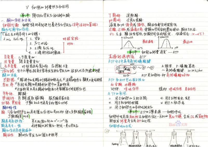 2020高考吉林理科状元（并列）刘梦非生物笔记_看图王_高中三年全科资料_高中_高中知识点整理_生物