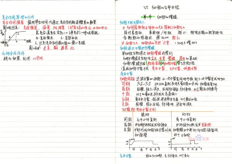 2020高考吉林理科状元（并列）刘梦非生物笔记_看图王_高中三年全科资料_高中_高中知识点整理_生物