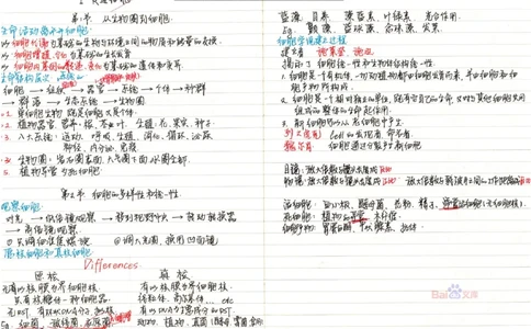 2020高考吉林理科状元（并列）刘梦非生物笔记_看图王_高中三年全科资料_高中_高中知识点整理_生物