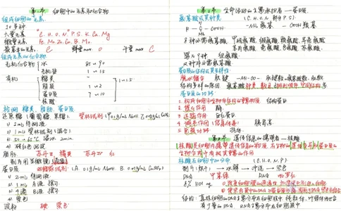 2020高考吉林理科状元（并列）刘梦非生物笔记_看图王_高中三年全科资料_高中_高中知识点整理_生物
