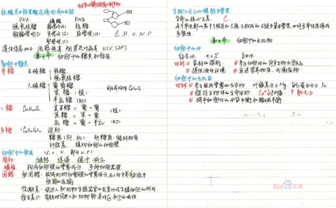 2020高考吉林理科状元（并列）刘梦非生物笔记_看图王_高中三年全科资料_高中_高中知识点整理_生物