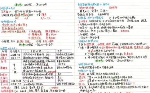 2020高考吉林理科状元（并列）刘梦非生物笔记_看图王_高中三年全科资料_高中_高中知识点整理_生物