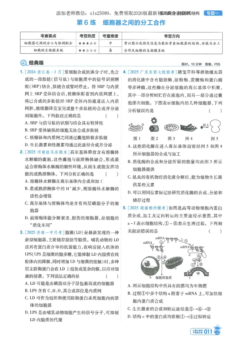 1小题狂练册新高考&middot;生物_高中三年全科资料_高中_高中1_2026版天星教育《金考卷-小题狂练》新高考九科全套首发_2026版金考卷小题狂练生物（新高考单选）