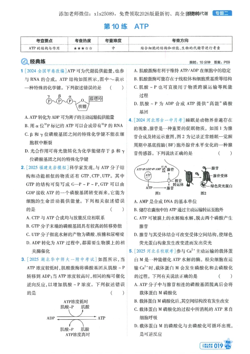 1小题狂练册新高考&middot;生物_高中三年全科资料_高中_高中1_2026版天星教育《金考卷-小题狂练》新高考九科全套首发_2026版金考卷小题狂练生物（新高考单选）