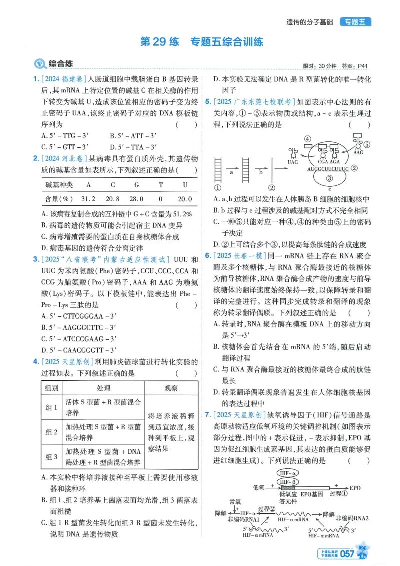 1小题狂练册新高考&middot;生物_高中三年全科资料_高中_高中1_2026版天星教育《金考卷-小题狂练》新高考九科全套首发_2026版金考卷小题狂练生物（新高考单选）