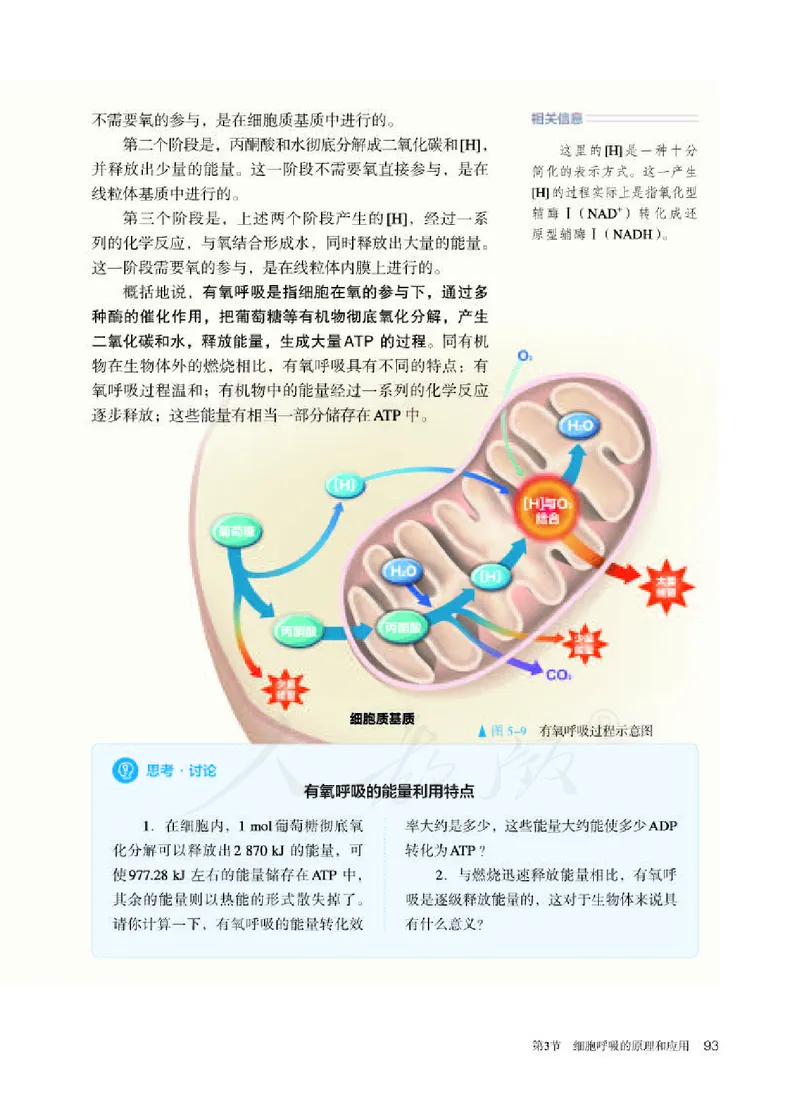 人教版生物必修1_电子课本_最新版高中全科高清电子课本_6高中生物课本_2019新人教版