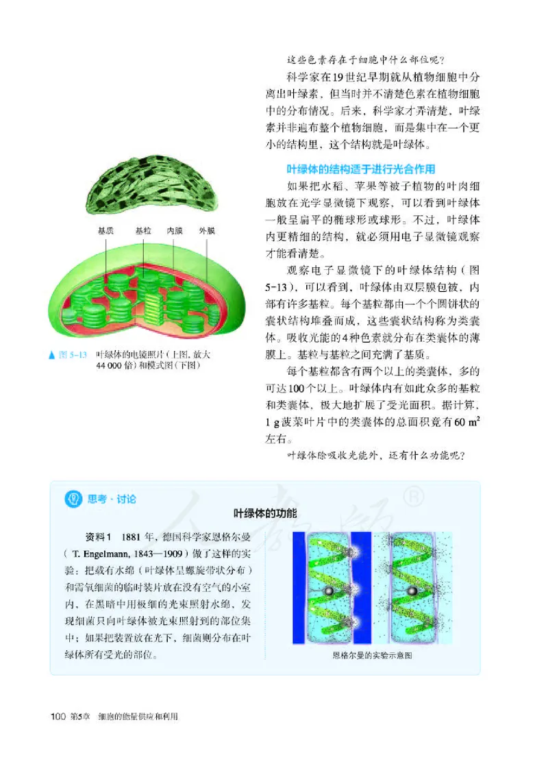 人教版生物必修1_电子课本_最新版高中全科高清电子课本_6高中生物课本_2019新人教版
