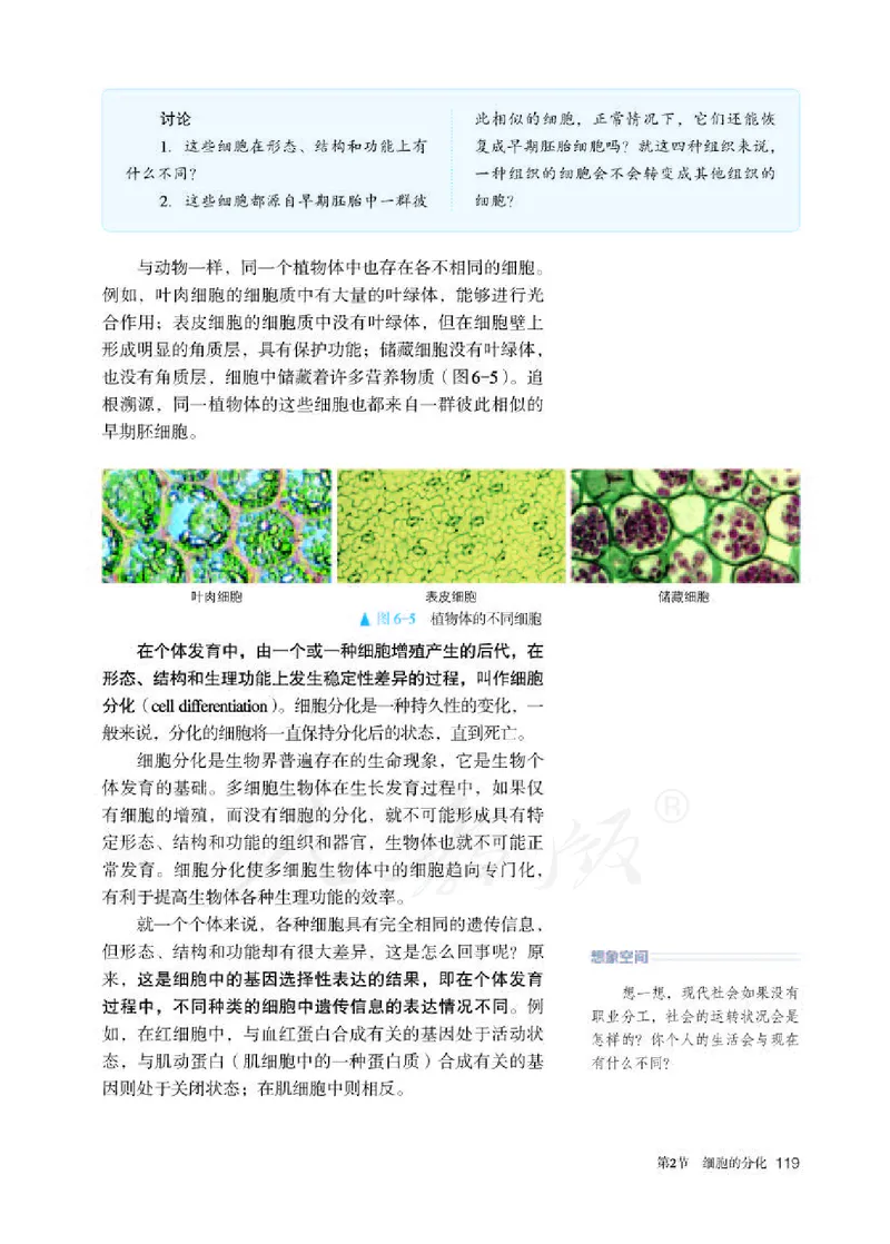 人教版生物必修1_电子课本_最新版高中全科高清电子课本_6高中生物课本_2019新人教版