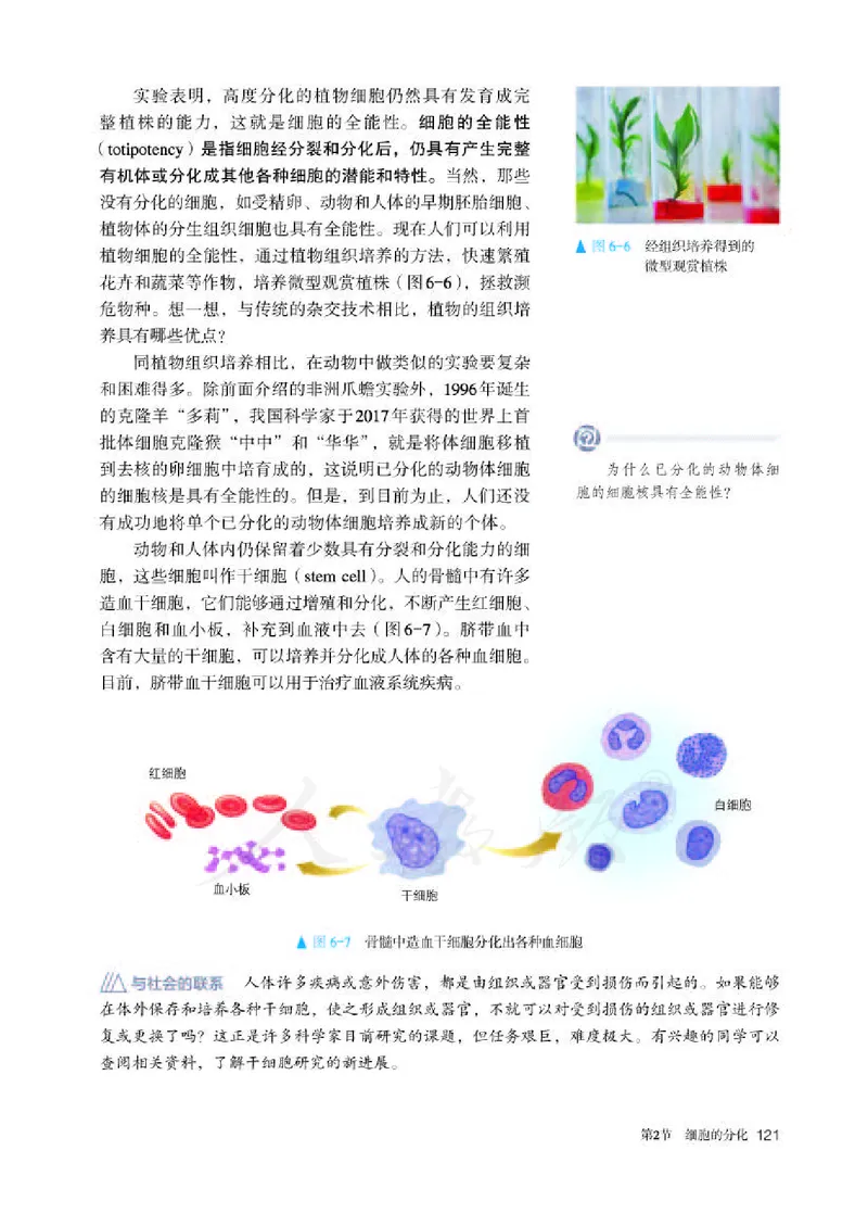 人教版生物必修1_电子课本_最新版高中全科高清电子课本_6高中生物课本_2019新人教版