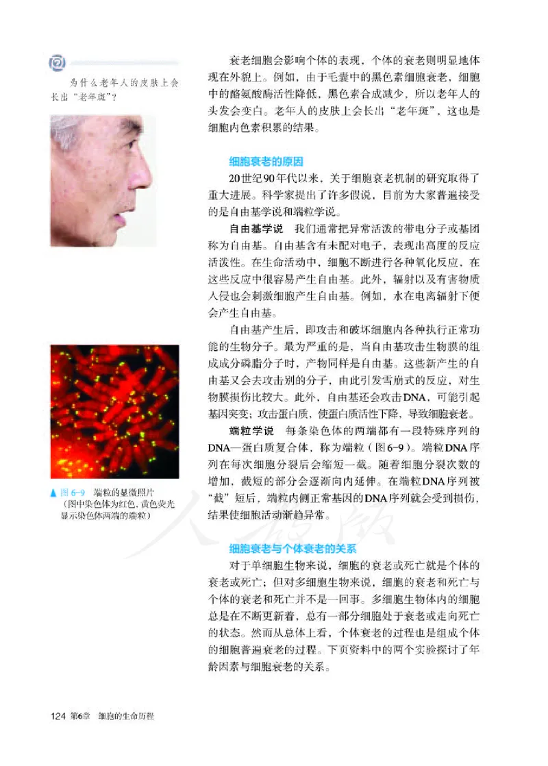 人教版生物必修1_电子课本_最新版高中全科高清电子课本_6高中生物课本_2019新人教版