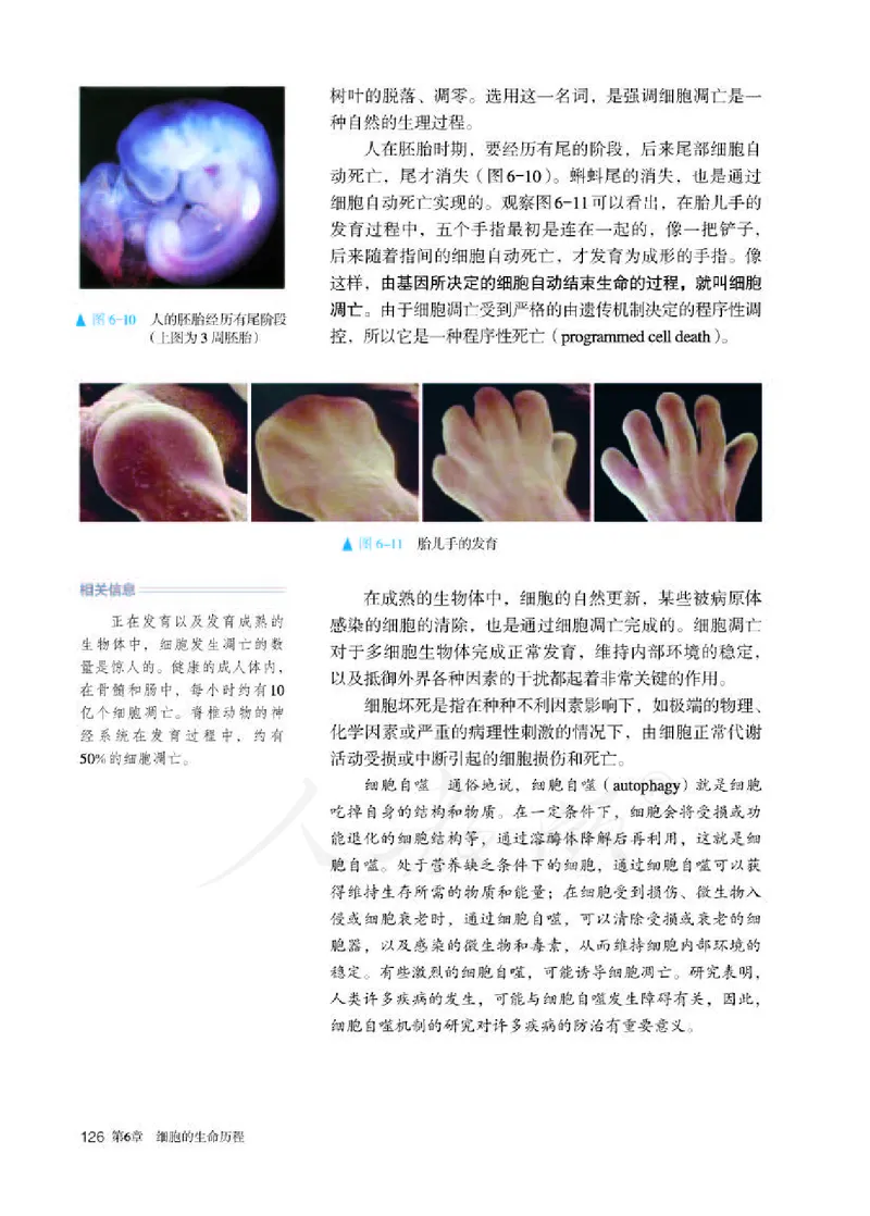 人教版生物必修1_电子课本_最新版高中全科高清电子课本_6高中生物课本_2019新人教版