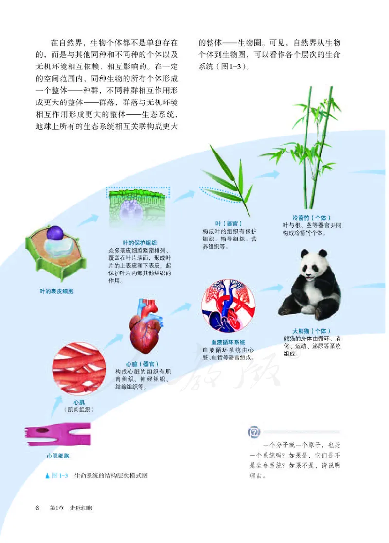 人教版生物必修1_电子课本_最新版高中全科高清电子课本_6高中生物课本_2019新人教版