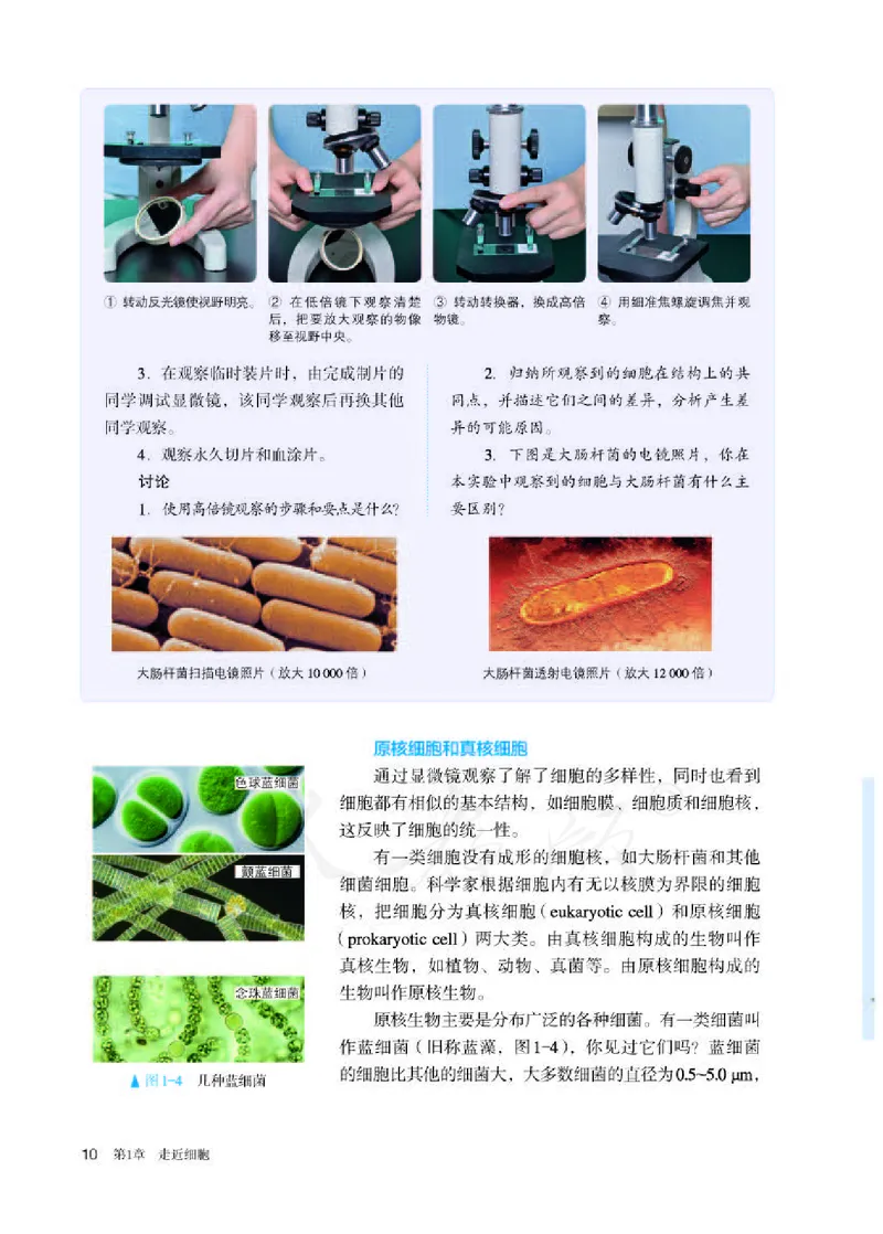 人教版生物必修1_电子课本_最新版高中全科高清电子课本_6高中生物课本_2019新人教版