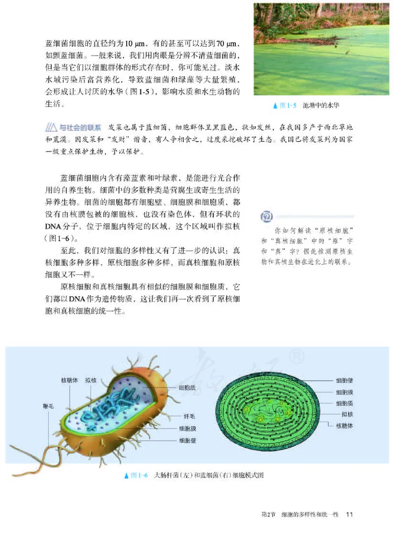 人教版生物必修1_电子课本_最新版高中全科高清电子课本_6高中生物课本_2019新人教版