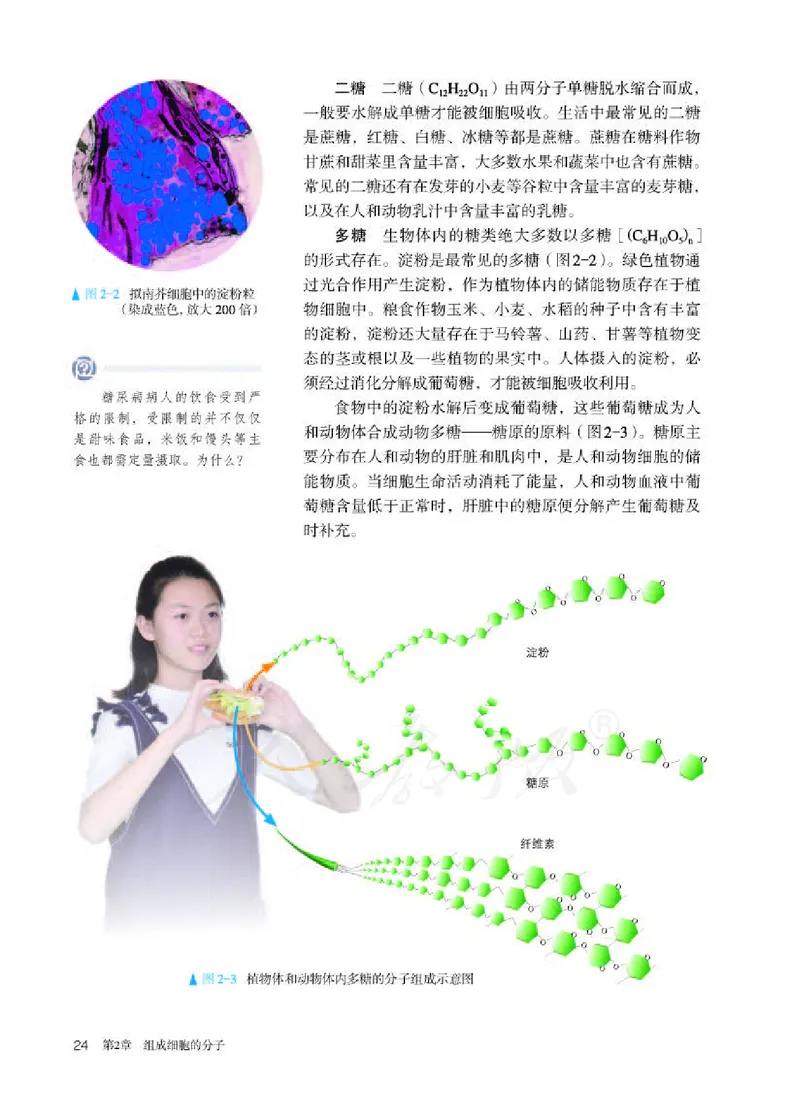 人教版生物必修1_电子课本_最新版高中全科高清电子课本_6高中生物课本_2019新人教版