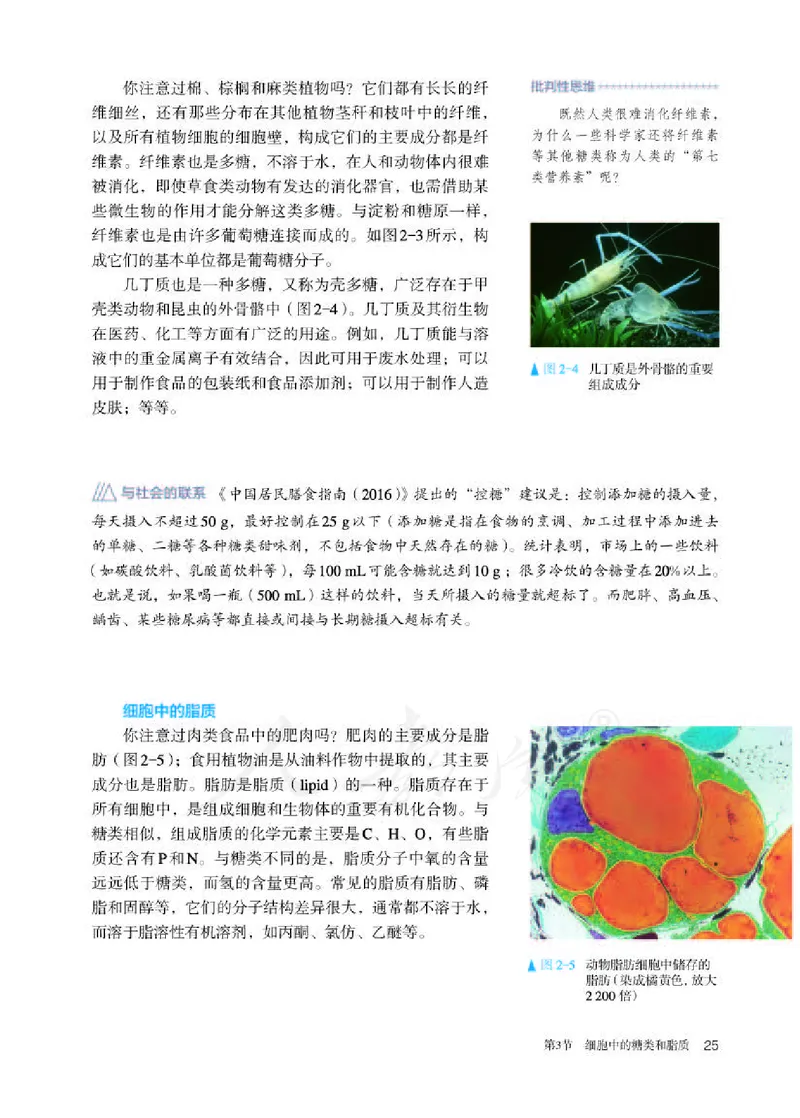 人教版生物必修1_电子课本_最新版高中全科高清电子课本_6高中生物课本_2019新人教版