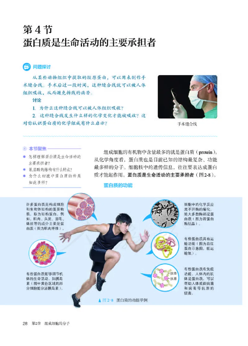 人教版生物必修1_电子课本_最新版高中全科高清电子课本_6高中生物课本_2019新人教版
