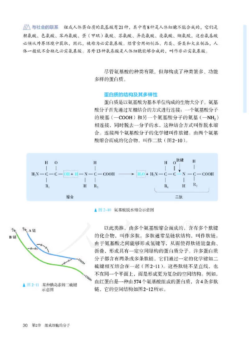 人教版生物必修1_电子课本_最新版高中全科高清电子课本_6高中生物课本_2019新人教版