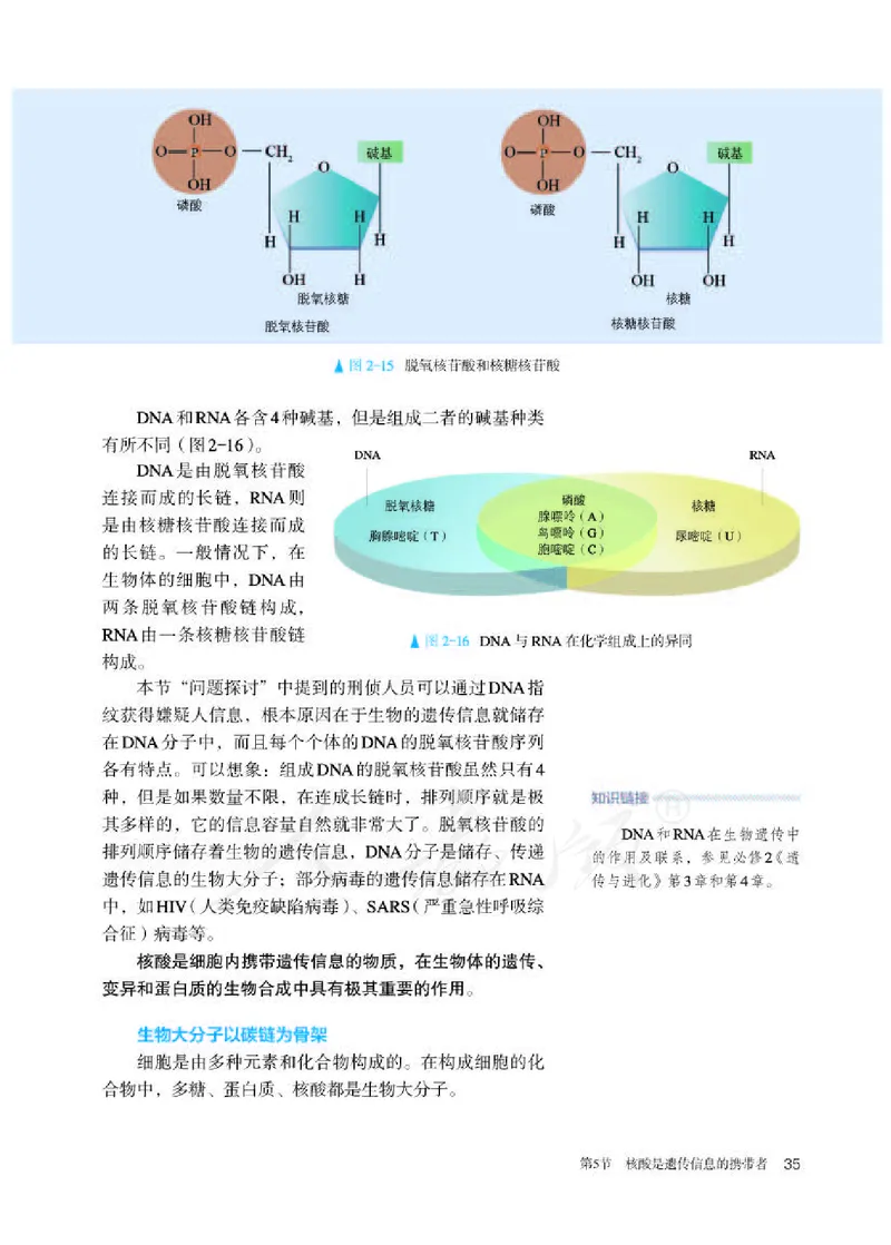 人教版生物必修1_电子课本_最新版高中全科高清电子课本_6高中生物课本_2019新人教版