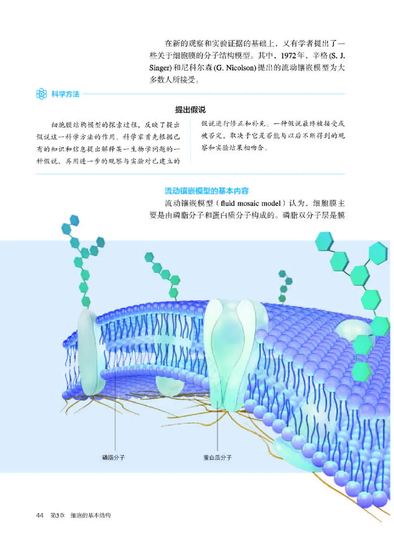 人教版生物必修1_电子课本_最新版高中全科高清电子课本_6高中生物课本_2019新人教版