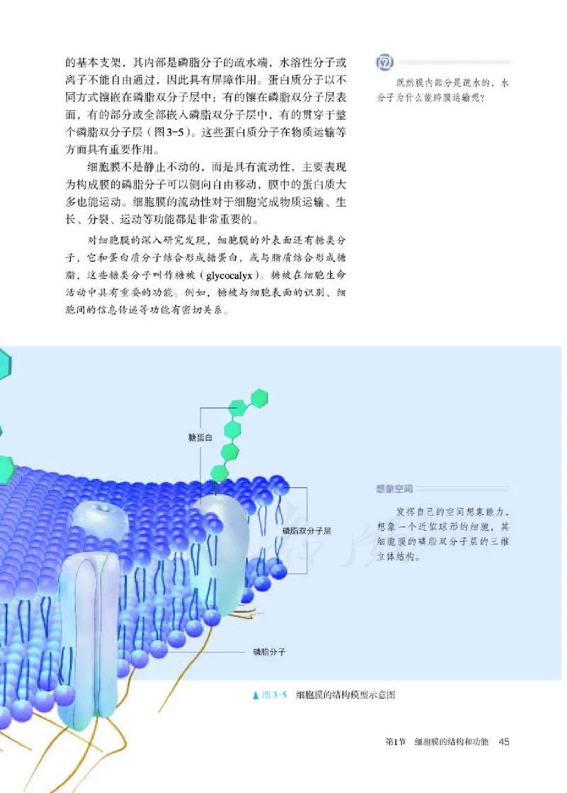 人教版生物必修1_电子课本_最新版高中全科高清电子课本_6高中生物课本_2019新人教版