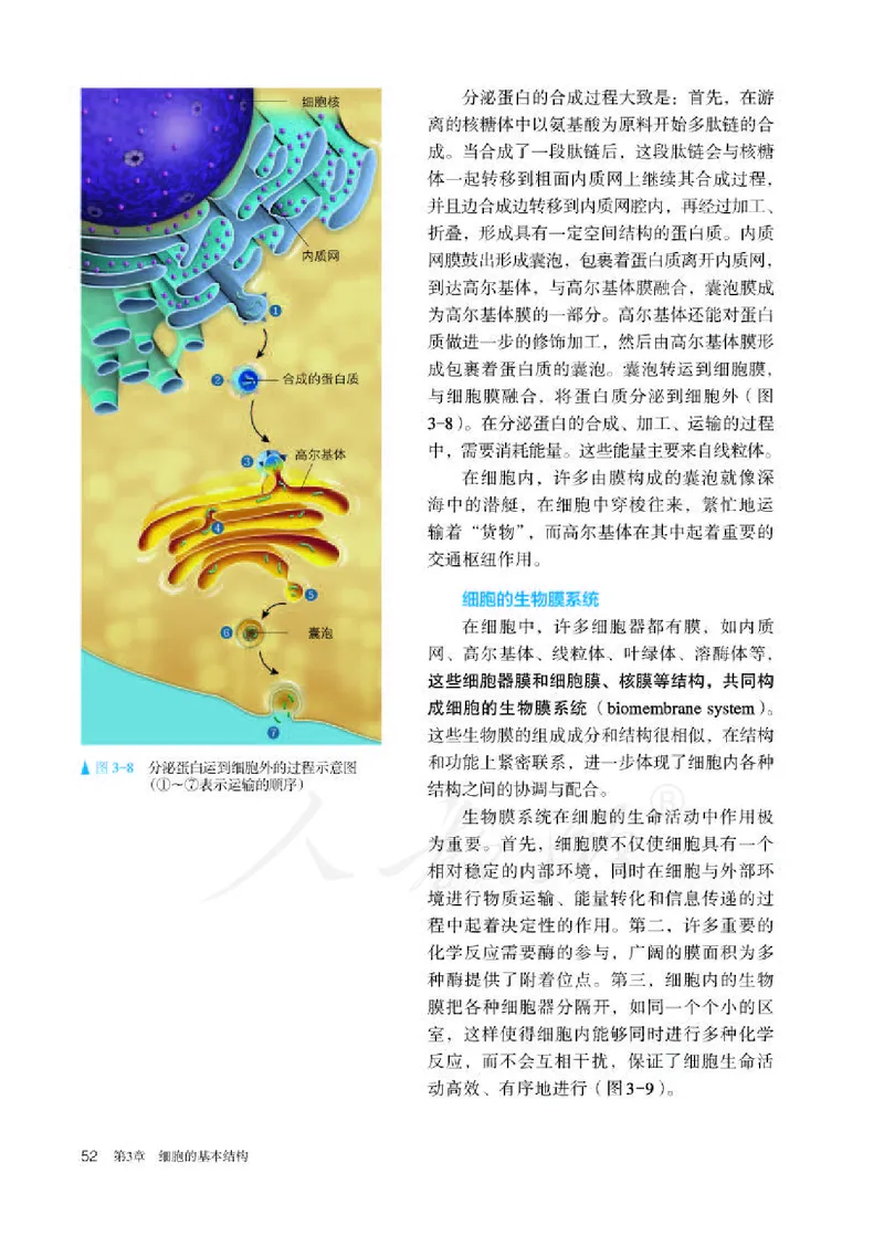 人教版生物必修1_电子课本_最新版高中全科高清电子课本_6高中生物课本_2019新人教版