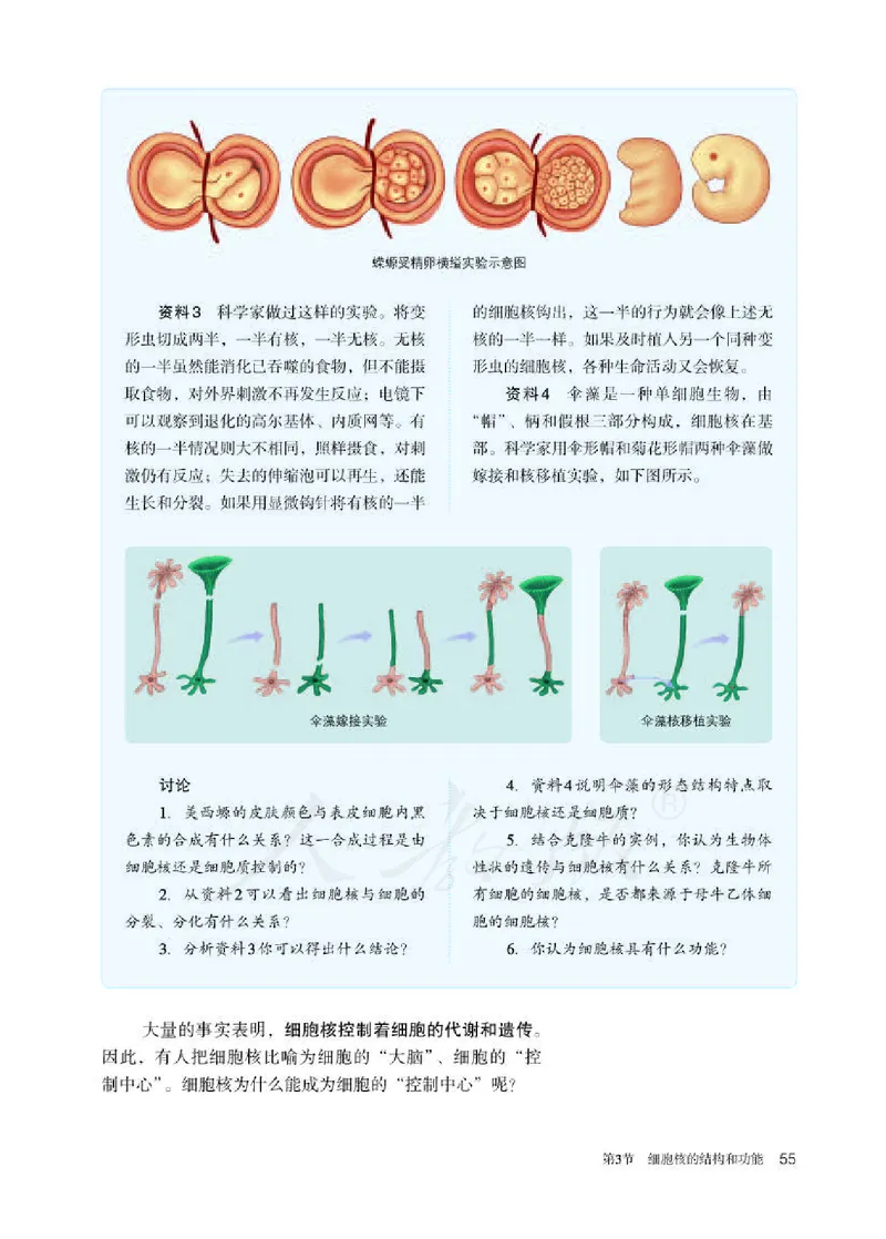 人教版生物必修1_电子课本_最新版高中全科高清电子课本_6高中生物课本_2019新人教版