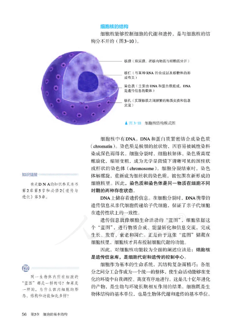 人教版生物必修1_电子课本_最新版高中全科高清电子课本_6高中生物课本_2019新人教版