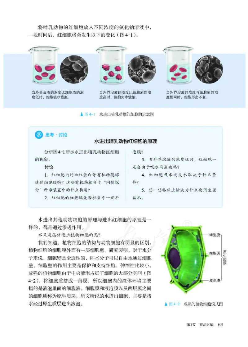 人教版生物必修1_电子课本_最新版高中全科高清电子课本_6高中生物课本_2019新人教版