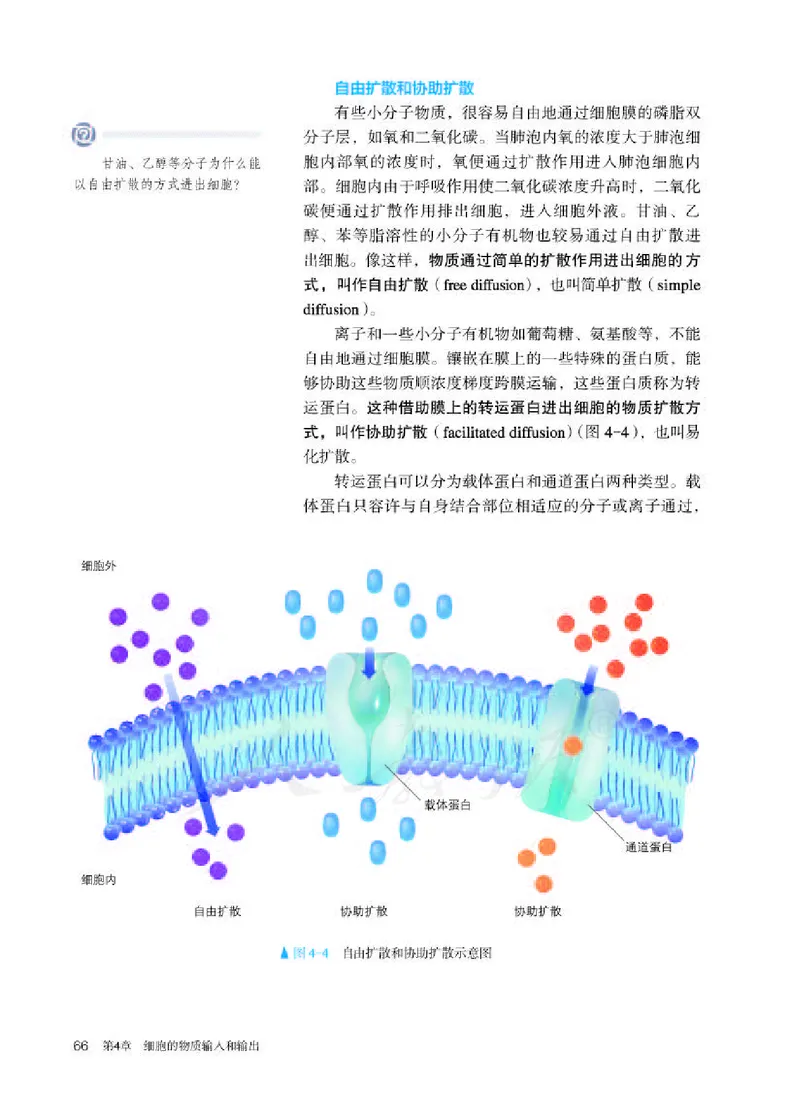 人教版生物必修1_电子课本_最新版高中全科高清电子课本_6高中生物课本_2019新人教版